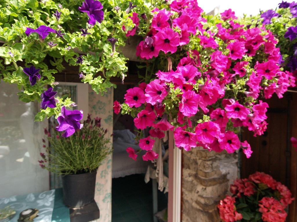 Le Petit Chateau Bed and Breakfast Dolceacqua Esterno foto